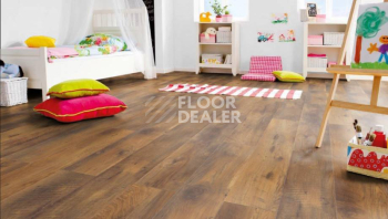 Haro Tritty 100 Gran Via 4V ДУБ АЛЬТХОЛЬЦ 526712 фото 2 | FLOORDEALER